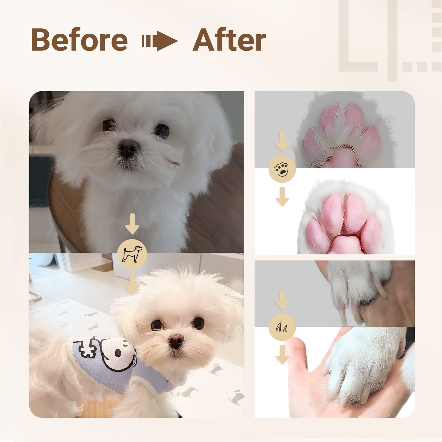 (đ„Last Day Promotion - 49% off)2024-Ultimate Pet Grooming Kit đ¶ 4-in-1 Electric Clippers with 4 Interchangeable Blades